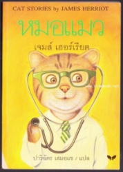 หมอแมว