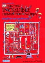 คลื่นความคิดอัจฉริยะ : ผจญภัยร่างกายมหัศจรรย์ = How the incredible human body works