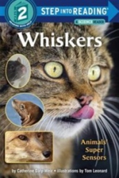 Whiskers : animals' super sensors
