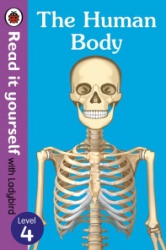 The Human body