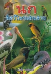 นก สัตว์โลกแสนสวย