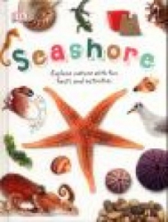 Seashore