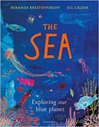 The sea : exploring our blue planet