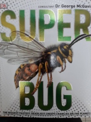 Superbug