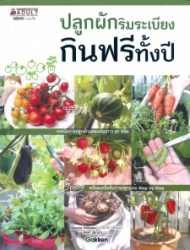 ปลูกผักริมระเบียง กินฟรีทั้งปี