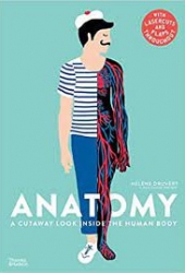 Anatomy : a cutaway look inside the human body