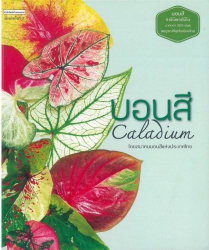 บอนสี = Caladium