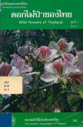 ดอกไม้ป่าของไทย