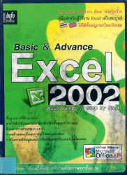 Basic & Advance Excel 2002